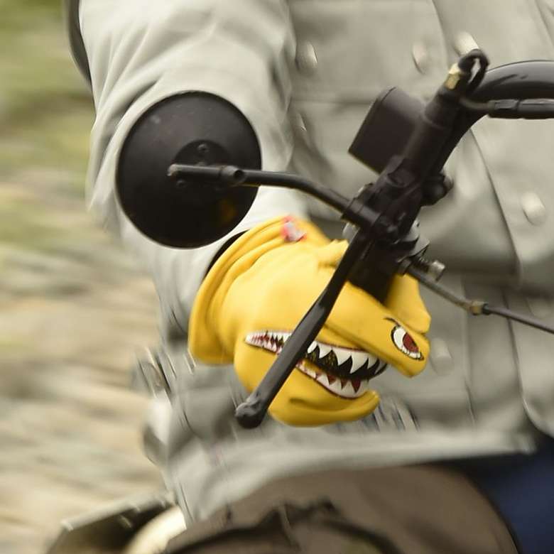 シャーク柄装着