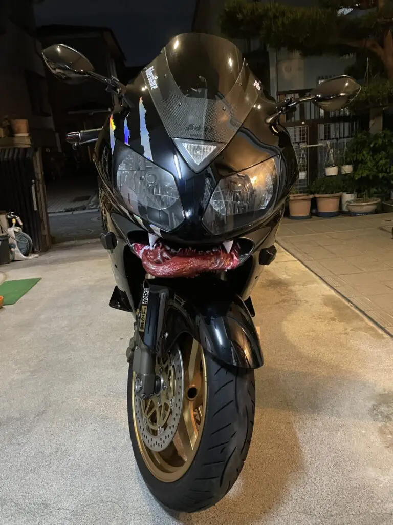 オーナーも惚れ込む文句なしの加速感！Ninja ZX12R【みんなのバイク