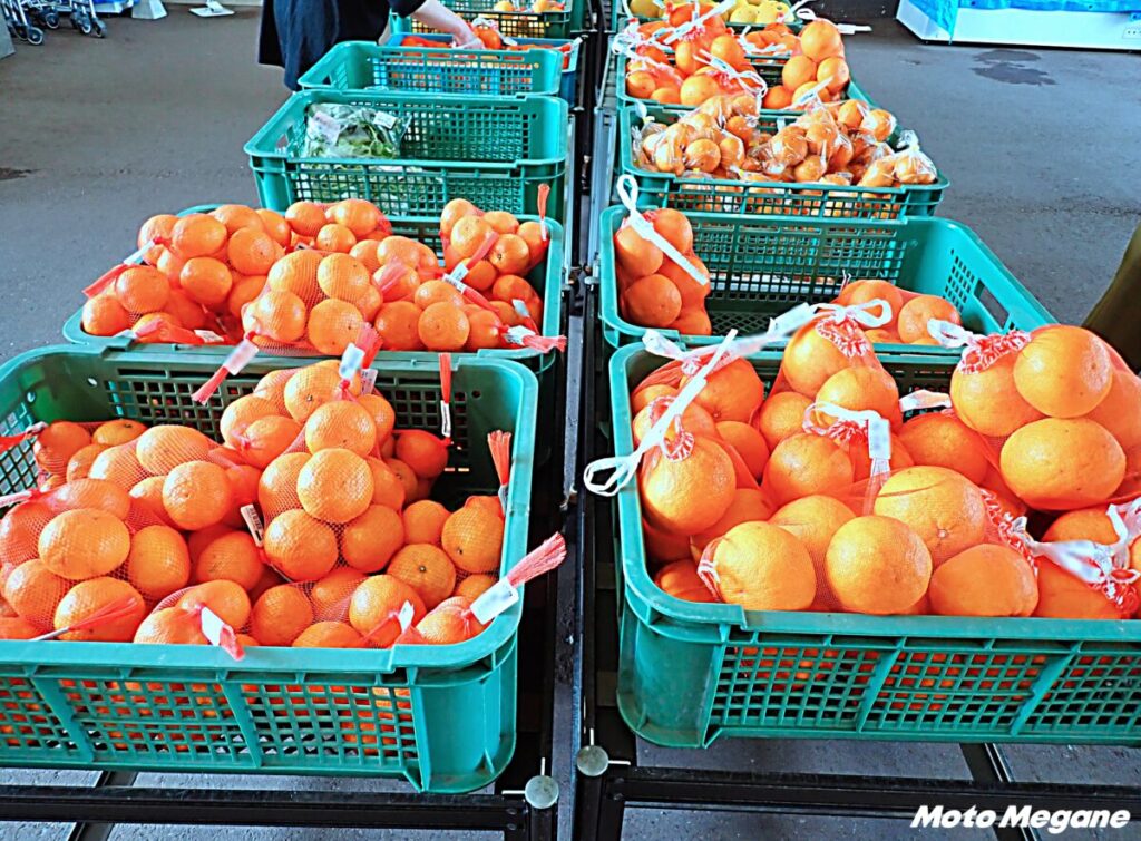 【山口県】海を望むロケーション！イチオシはミカンと地魚料理「道の駅 サザンセトとうわ」【バイクツーリング道の駅探訪】