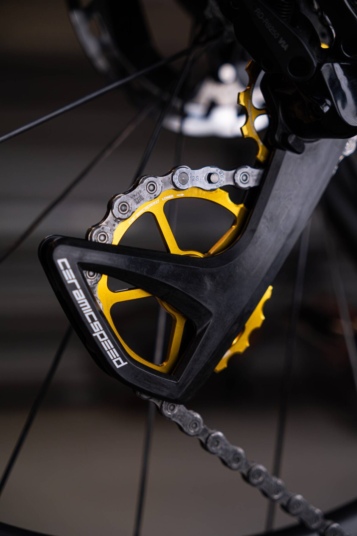 ceramicspeed ospw セラミックスピード ビッグプーリー ゴールド 5711050125920-S.jpg