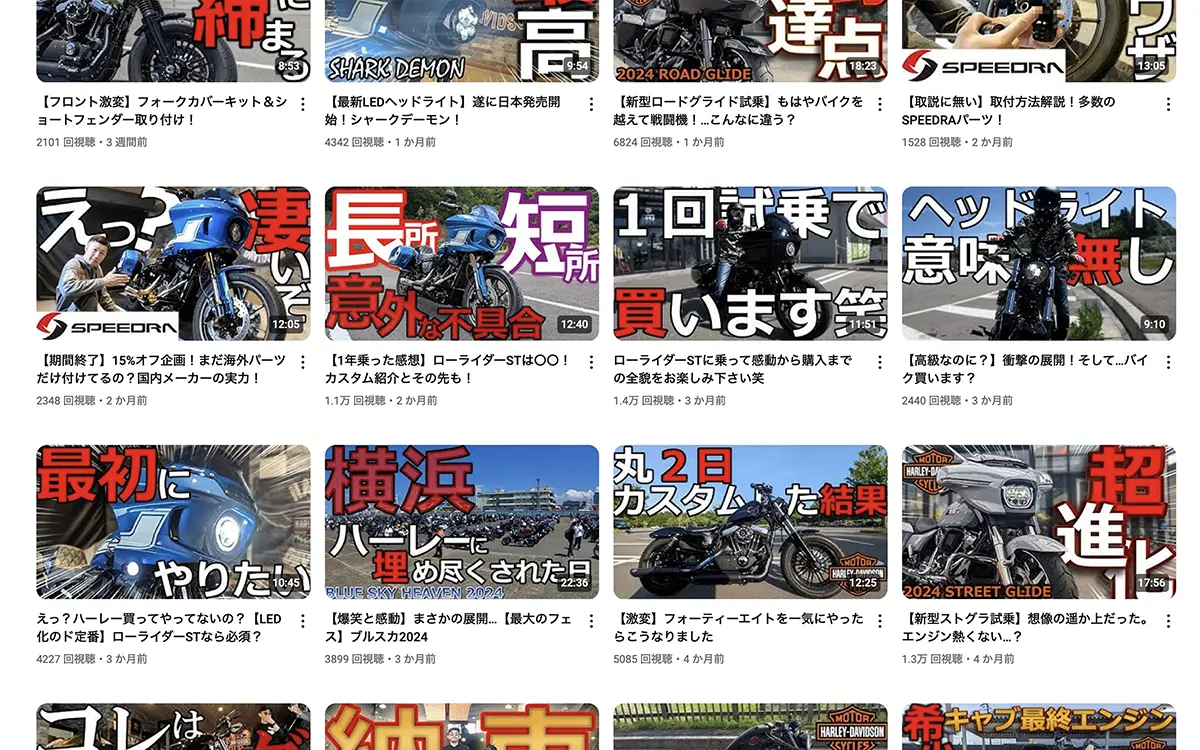 カラカラ　値下げ交渉⭕️さん専用 ハーレーに魅せられたインフルエンサーがハマったバイクカスタム