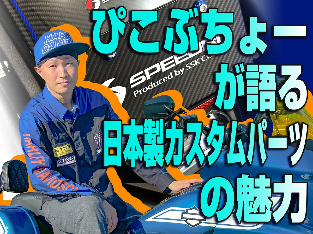 カラカラ　値下げ交渉⭕️さん専用 ハーレーに魅せられたインフルエンサーがハマったバイクカスタム
