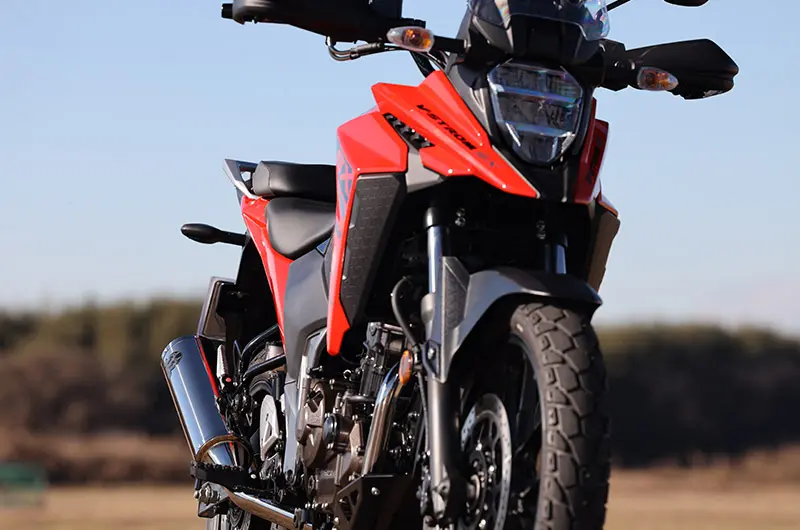 strom ソリューションブラック15p strom ソリューションブラック15p strom ソリューションブラック15p