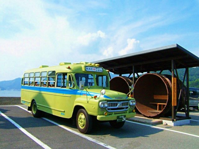 富貴蘭　二十四の瞳 宝石のような観葉植物のお店 【Jewelry Plant】 富貴蘭 風蘭 蘭