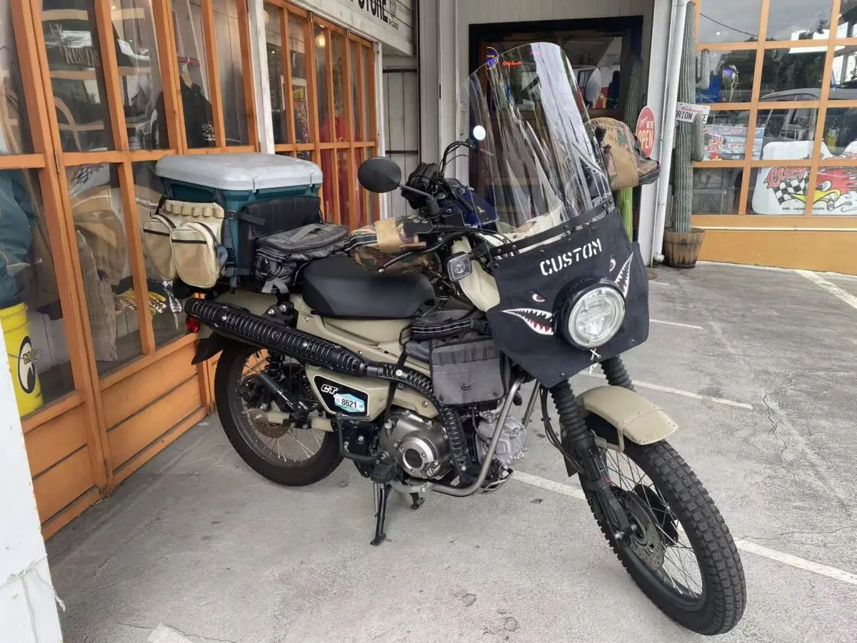 orionace_jamsgold_huntercub-6.