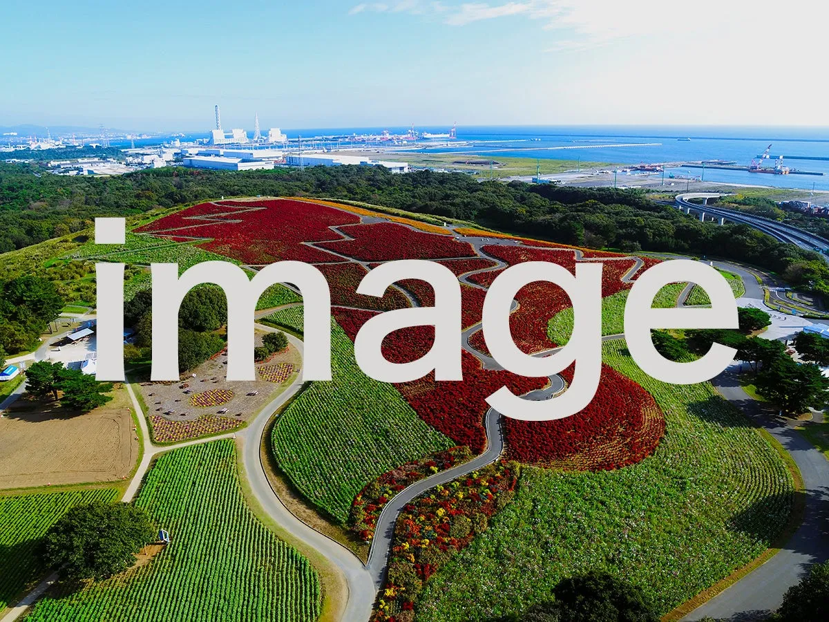 花が咲き乱れる丘陵地帯の風景。遠くには海と工業地帯が見える。