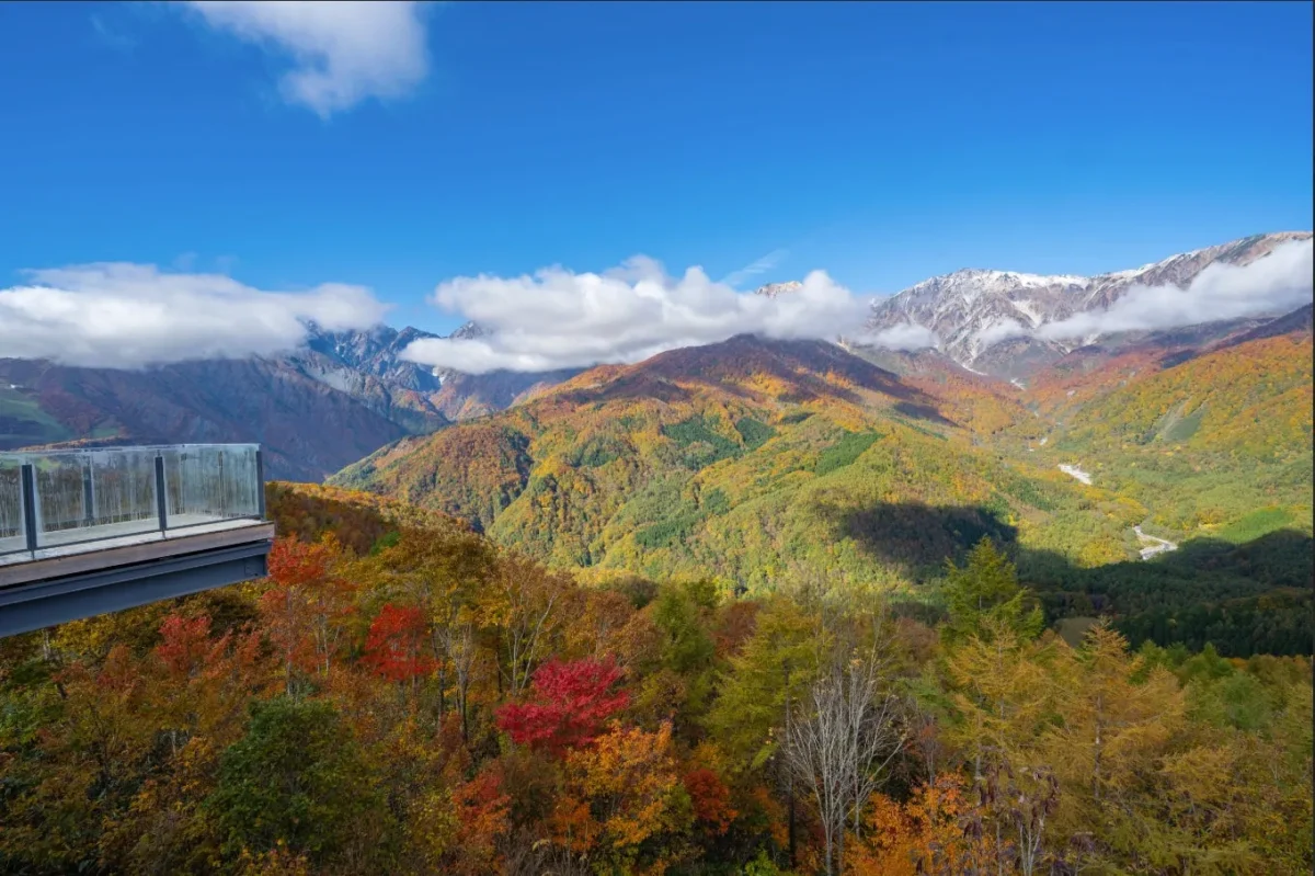 紅葉した山々を見下ろす風景。手前には展望台があり、遠くには雪を抱いた山々が見える。