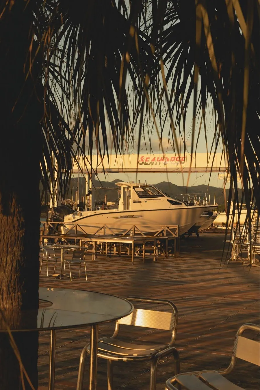 ヤシの木越しに、係留されたボートとテーブルと椅子が並ぶデッキの風景。夕日の光が全体を温かく照らしています。