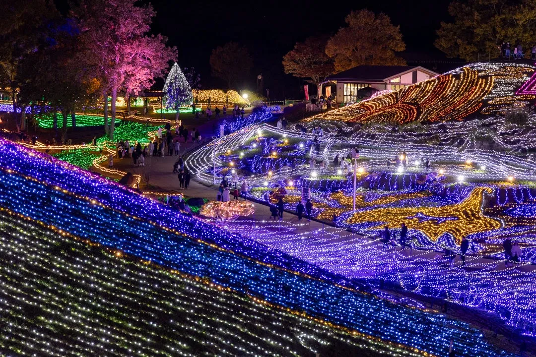 昨年の開催様子:夜のイルミネーションの風景