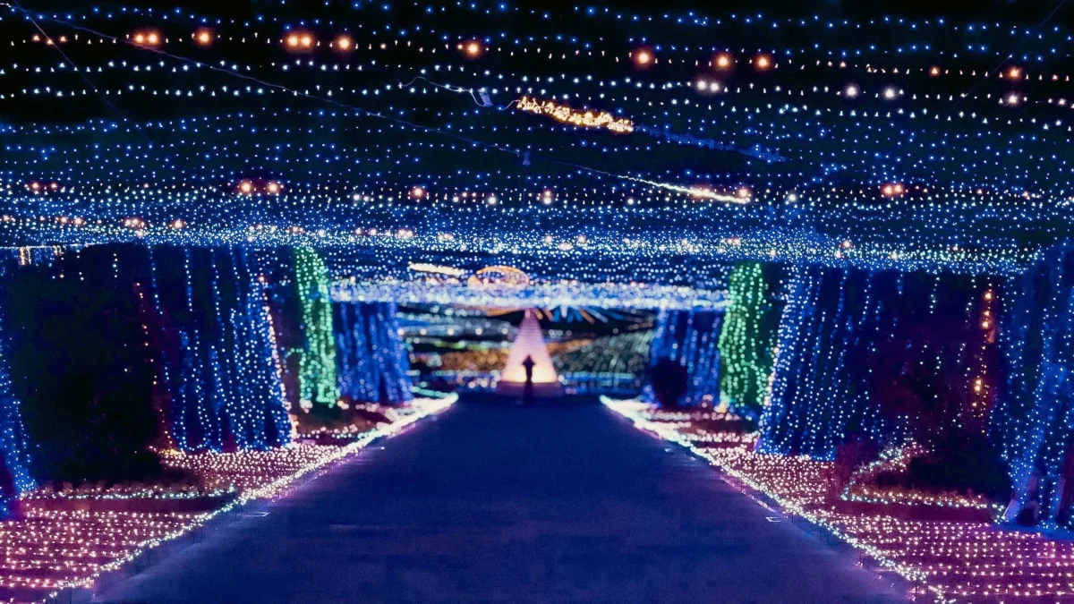 国営讃岐まんのう公園の美しい夜景