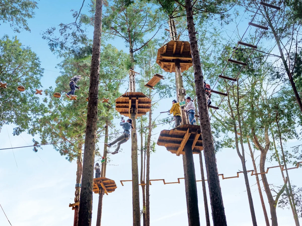 木の上に作られたアスレチック施設