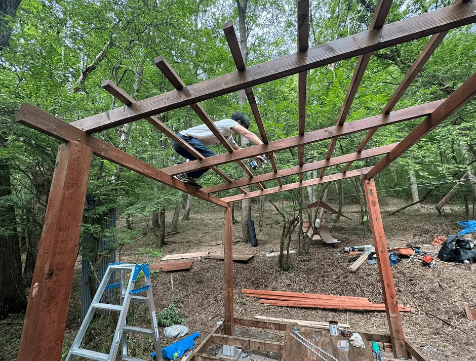 森の中で木製構造物を建設する作業の様子。